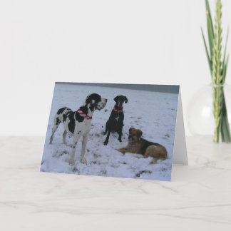 Tarjeta Festiva Dogge alemán, Great Dane, Perros, las Navidades