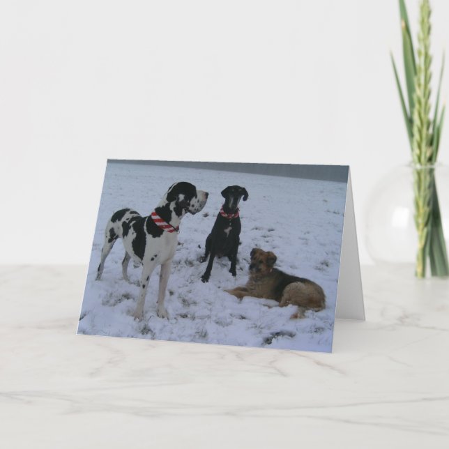 Tarjeta Festiva Dogge alemán, Great Dane, Perros, las Navidades (Anverso)
