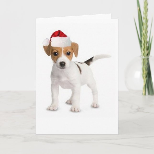 Tarjeta Festiva Dogs~Original Ditzy Card~Jack de saludo Russell (Anverso)
