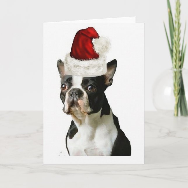Tarjeta Festiva Dogs~Original Ditzy Notecard~Boston Terrier (Anverso)
