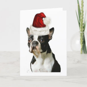 Tarjeta Festiva Dogs~Original Ditzy Notecard~Boston Terrier
