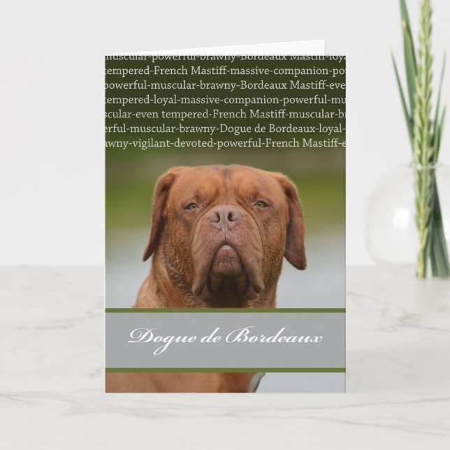 Tarjeta Festiva Dogue de Bordeaux, descripción de la raza del (Anverso)