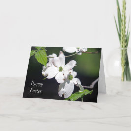 Tarjeta Festiva Dogwood Blossoms Easter Card