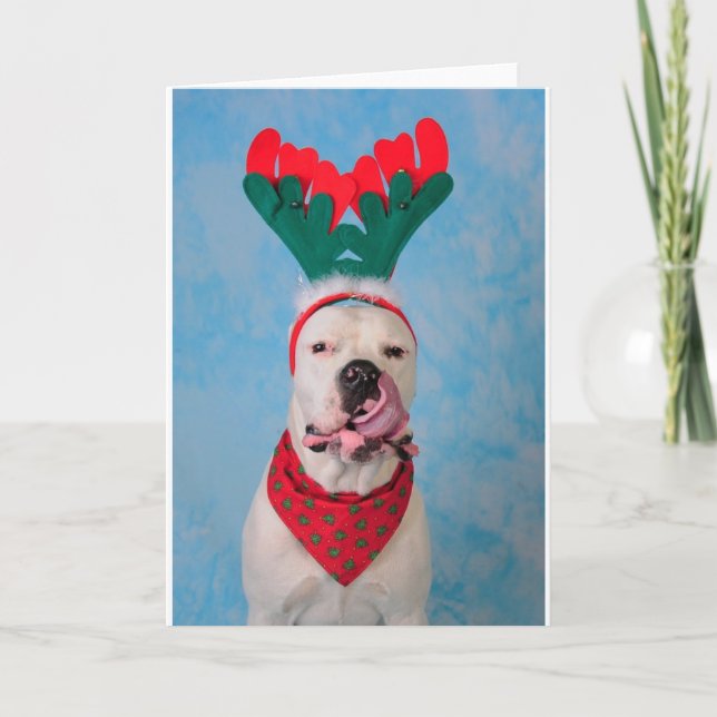 Tarjeta Festiva ¿Dónde está mi yema? (Anverso)