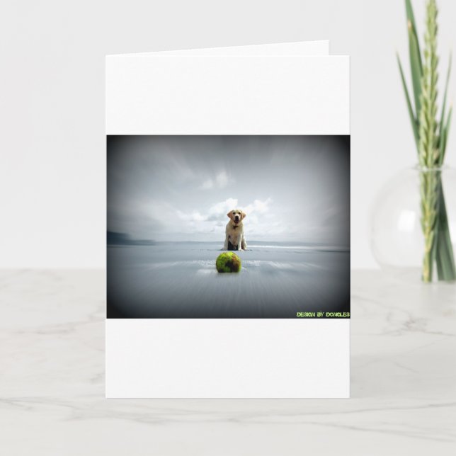 Tarjeta Festiva Dongles y bola.jpg (Anverso)