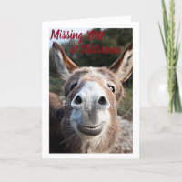 DONKEY NO TIENE SU **HERMANO** MUY TRISTE