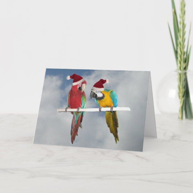Tarjeta Festiva Dos amigos de macaw (Anverso)