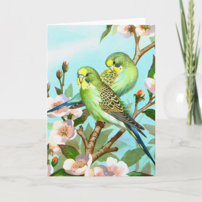 Tarjeta Festiva Dos budgerigars (Anverso)