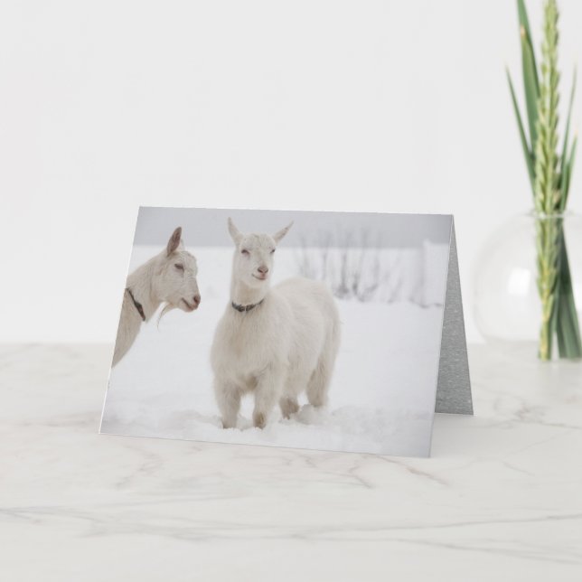 Tarjeta Festiva Dos cabras felices con collares en pie de nieve (Anverso)