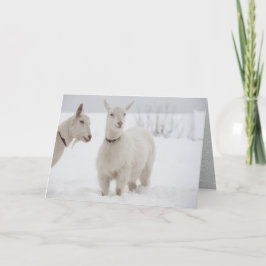 Tarjeta Festiva Dos cabras felices con collares en pie de nieve