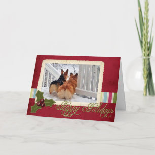 Tarjeta Festiva Dos Corgis Galeses en la Nieve con Marco de Fiesta