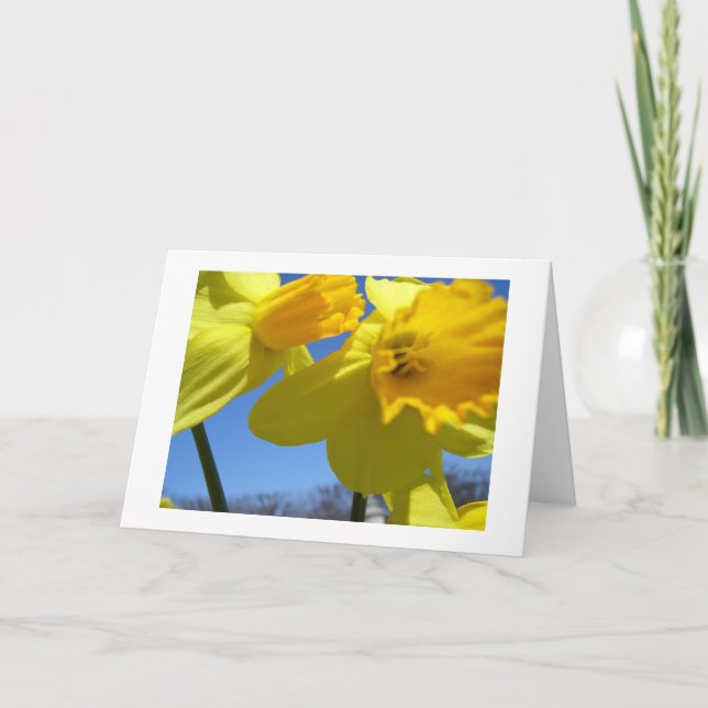 Tarjeta Festiva dos daffodils (Anverso)