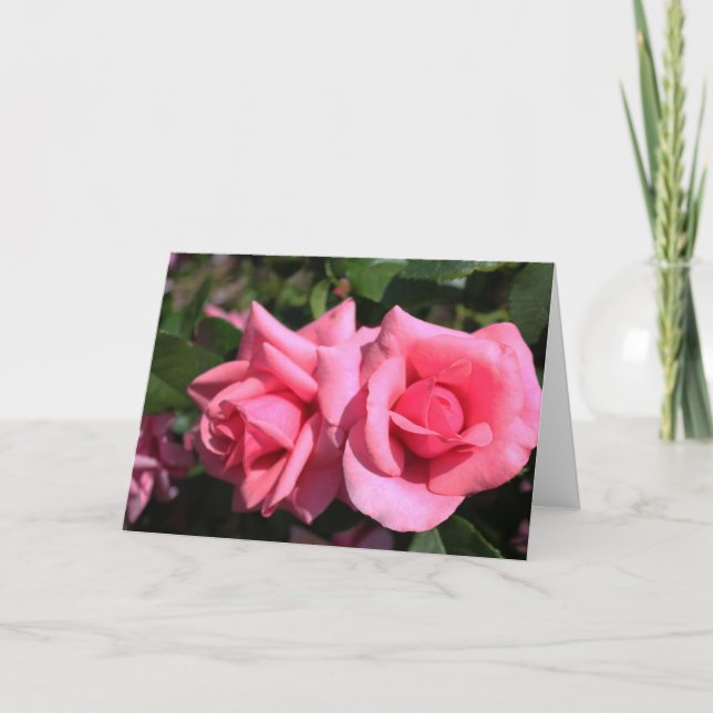 Tarjeta Festiva dos flores de rosa rosadas calientes perfectas. am (Anverso)