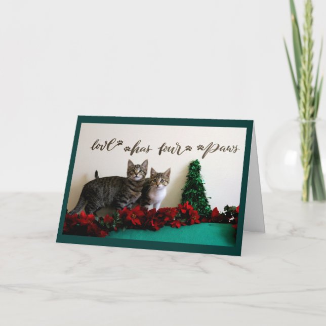 Tarjeta Festiva Dos gatitos para Navidades (Anverso)