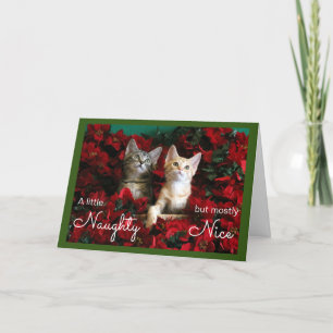 Tarjeta Festiva Dos gatitos traviesos y bonitos en la Poinsettias
