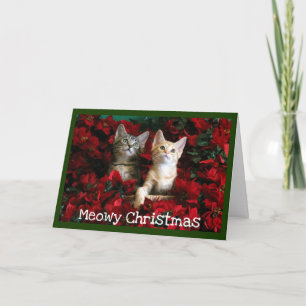 Tarjeta Festiva Dos gatitos y poinsettias