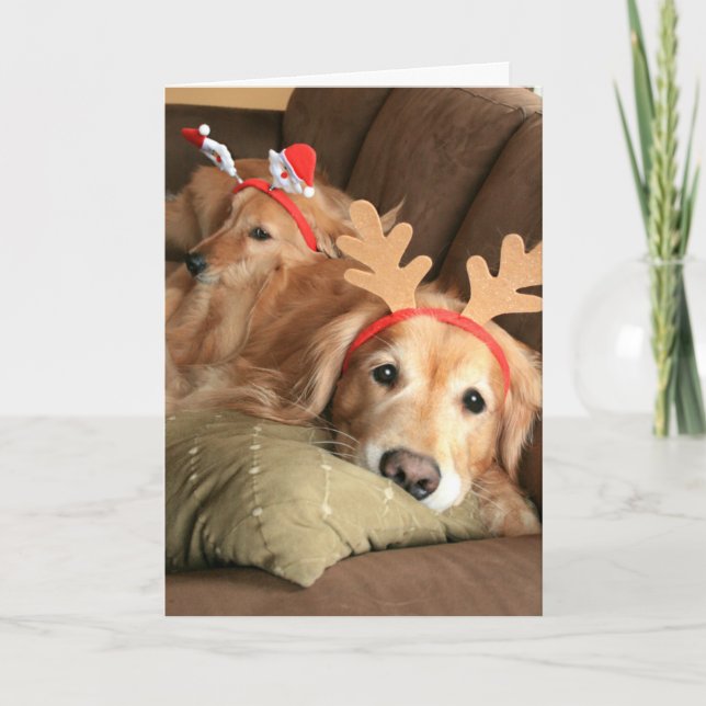 Tarjeta Festiva Dos Navidades acuden a los Golden Retrivers (Anverso)