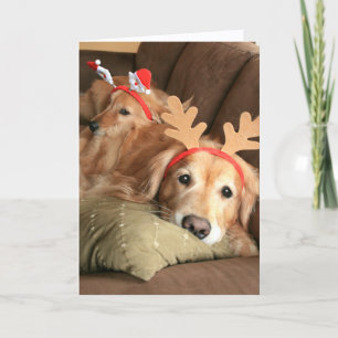 Tarjeta Festiva Dos Navidades acuden a los Golden Retrivers