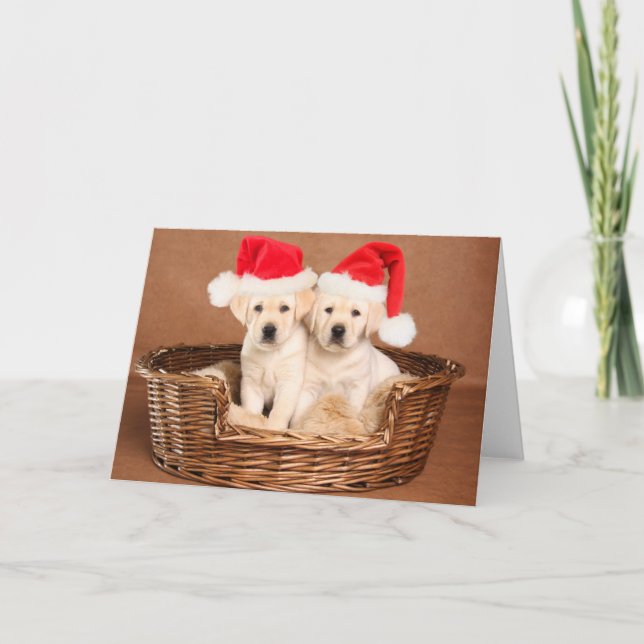 Tarjeta Festiva Dos Navidades de laboratorio amarillos cachorros (Anverso)