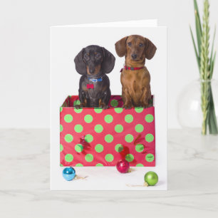 Tarjeta Festiva Dos perritos del Dachshund