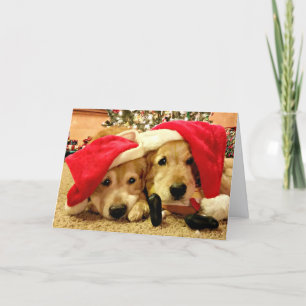 Tarjeta Festiva Dos perros de los que se recuperan el oro en los N