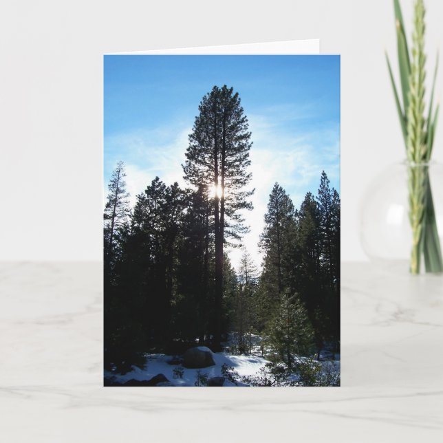 Tarjeta Festiva Douglas Fir (Anverso)