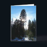 Tarjeta Festiva Douglas Fir<br><div class="desc">Tiempo de invierno,  un árbol de púas douglas con el sol detrás,  en el bosque nacional de Tahoe en California. Fotografía de Minerva Bloom.</div>