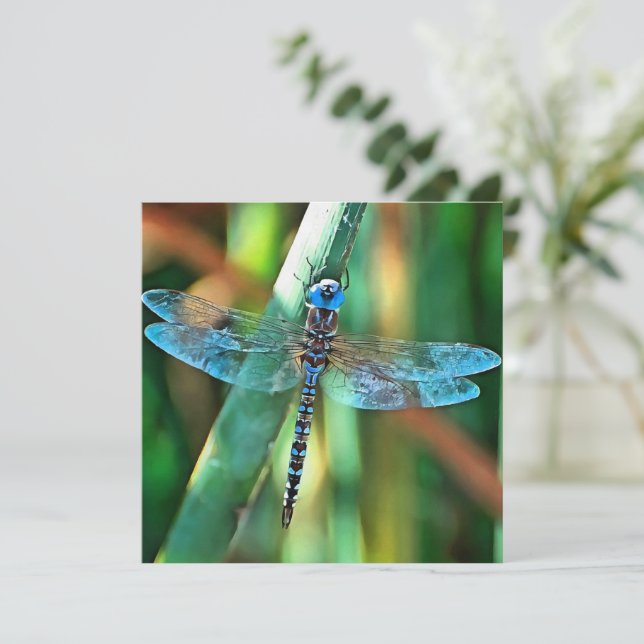 Tarjeta Festiva Dragonfly de fantasía en turquesa y negro (Anverso de pie)