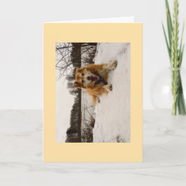 Tarjeta Festiva Ducati el Perro Maravilla