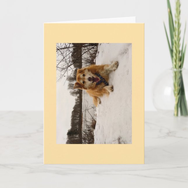 Tarjeta Festiva Ducati el Perro Maravilla (Anverso)