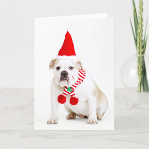 Tarjeta Festiva Duende del bulldog