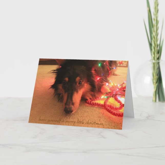 Tarjeta Festiva Dulces Navidades de Collie, tómate una fiesta (Anverso)