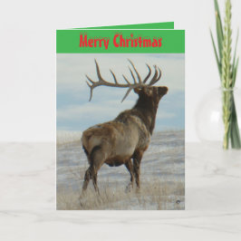 Tarjeta Festiva E58 Big Bull Elk On Snow Christmas Card