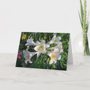 Tarjeta Festiva Easter Blessings Lily Flowers