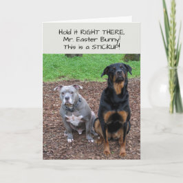 Tarjeta Festiva Easter Bunny Stickup Easter Card