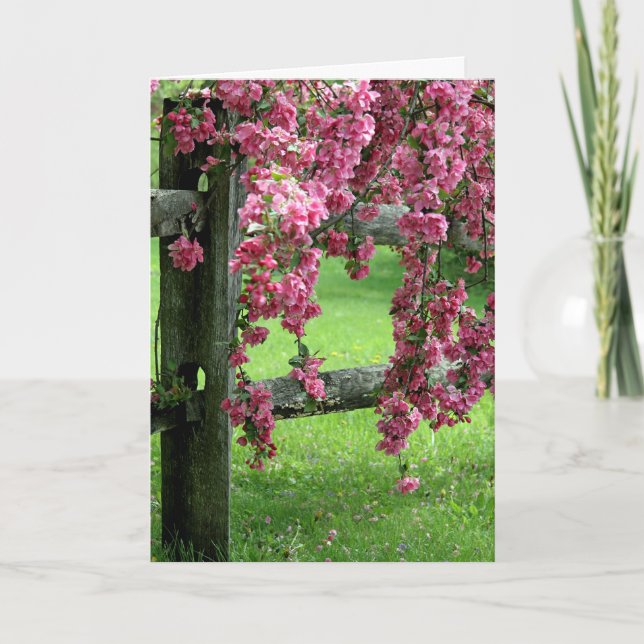 Tarjeta Festiva Easter Dogwood (Anverso)