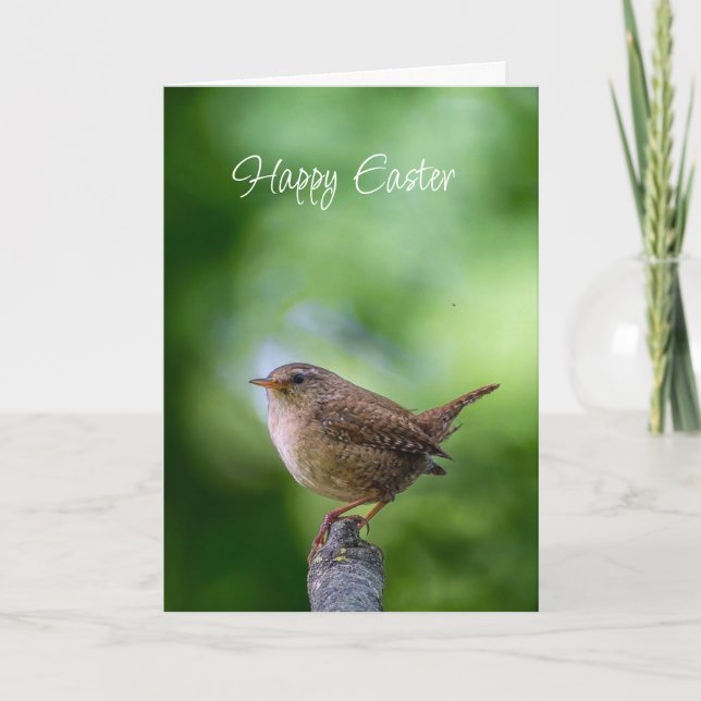 Tarjeta Festiva Easter Spring Wren Bird Joy Happiness Wishes (Anverso)