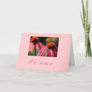 Tarjeta Festiva "Echinacea Te Amo "
