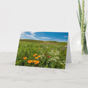 Tarjeta Festiva EE. UU., Washington, Walla Walla. Flores silvestre