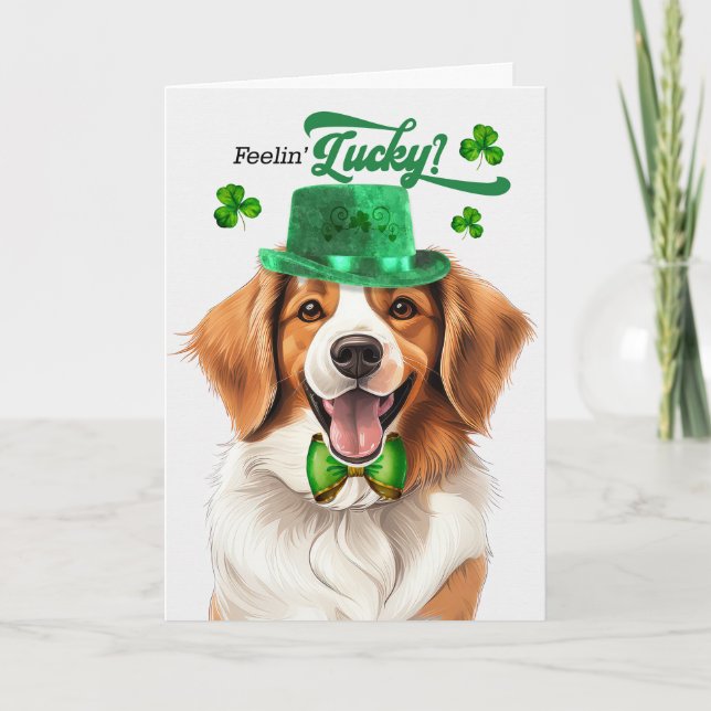 Tarjeta Festiva El afortunado Día de San Patricio de Kooikerhondje (Anverso)