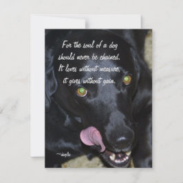 Tarjeta Festiva El alma de un perro - Labrador negro
