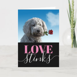 Tarjeta Festiva El amor apesta Foto divertida Día de San Valentín