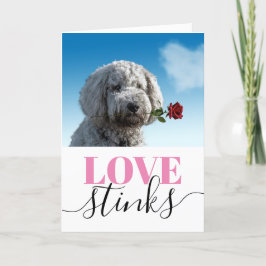 Tarjeta Festiva El Amor Apesta Foto Divertida Día de San Valentín