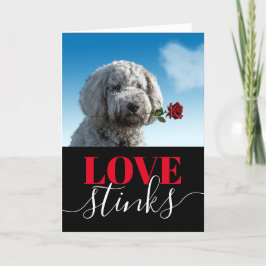 Tarjeta Festiva El amor apesta Foto divertida Día de San Valentín