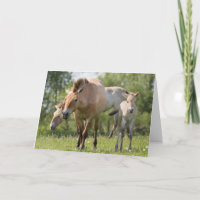 El caminar del caballo y del potro de Przewalski