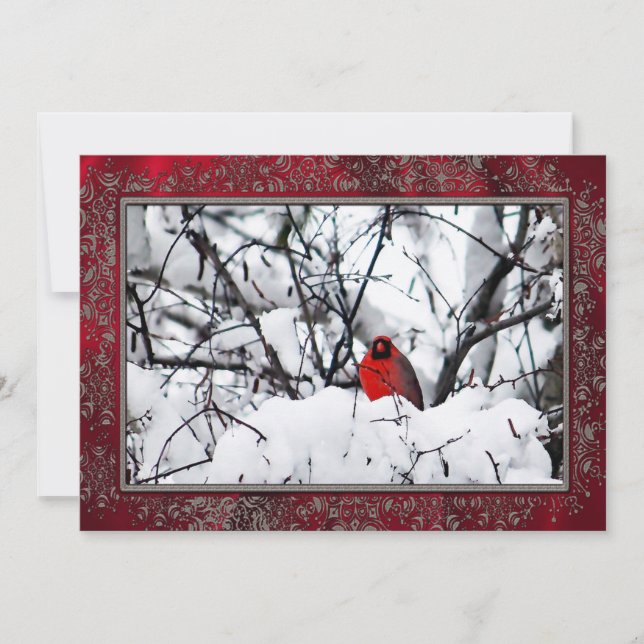 Tarjeta Festiva El cardenal Redbird Navidades de fotos de nieve pl (Anverso)