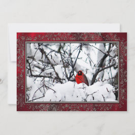 Tarjeta Festiva El cardenal Redbird Navidades de fotos de nieve pl