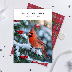Tarjeta Festiva El cardenal rojo plantado Merry Christmas Bird Pho