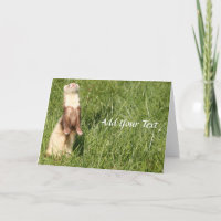 El cielo sube los hurones