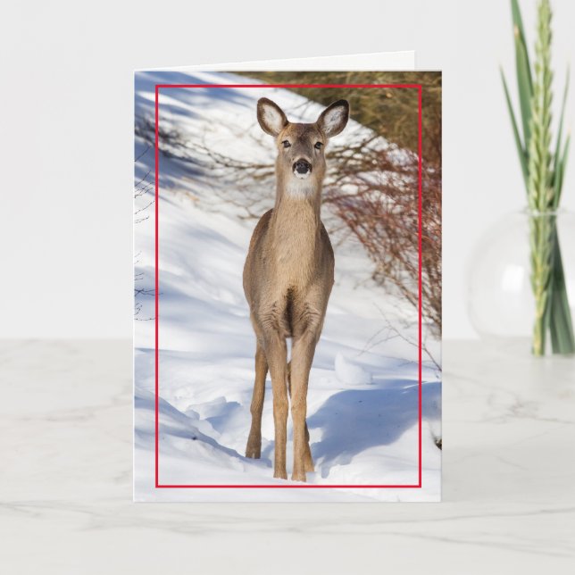 Tarjeta Festiva El ciervo lindo en la nieve (Anverso)